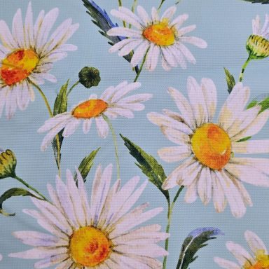 Gänseblümchen
